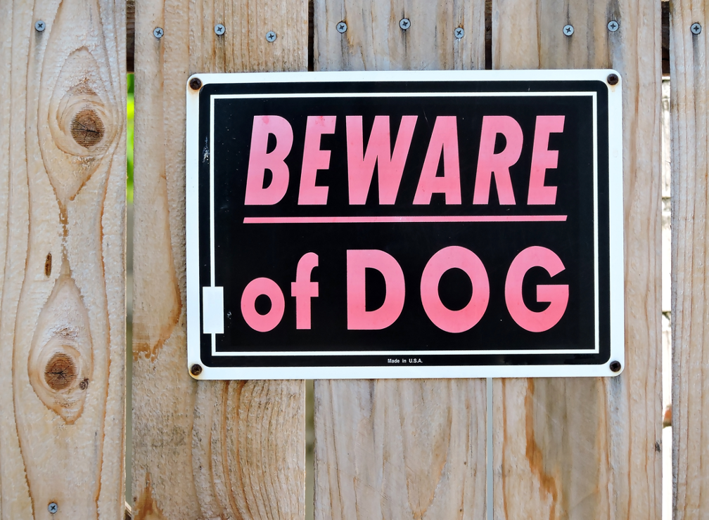 Things You Should Know About Pressing Charges in a Dog Bite Case: Insights from a Dog Bite Attorney in Lakeland, Florida