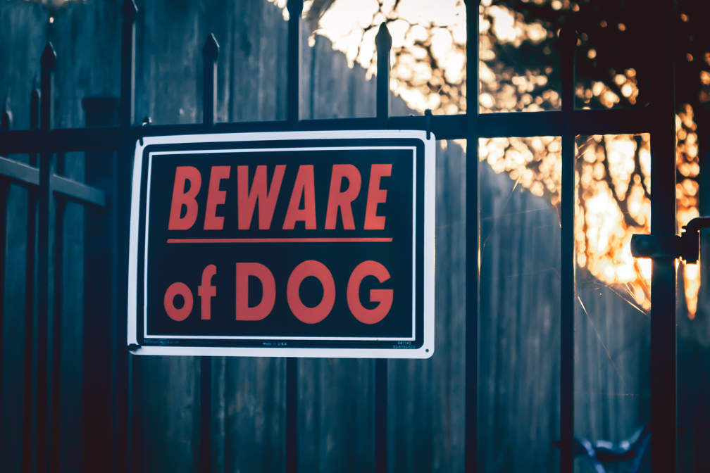 Bitten by a Dog in Florida? Here’s What You Should Do: Insights from a Dog Bite Attorney in Lakeland, Florida￼