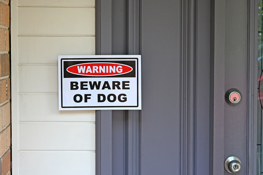 Dog bite law firm in Lakeland Florida